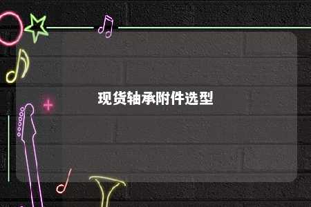 现货轴承附件选型 